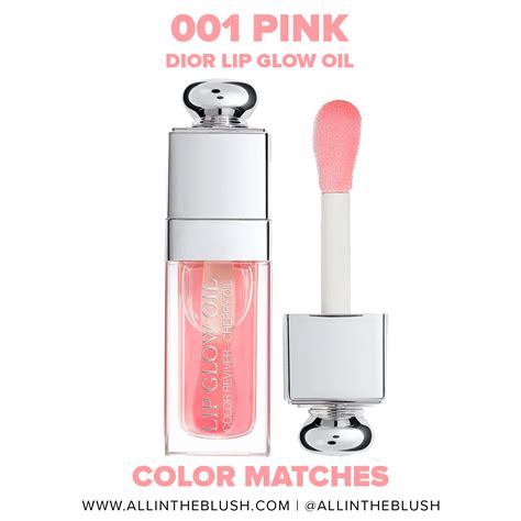 dior lio oil dupe|aldi Dior lip oil dupe.